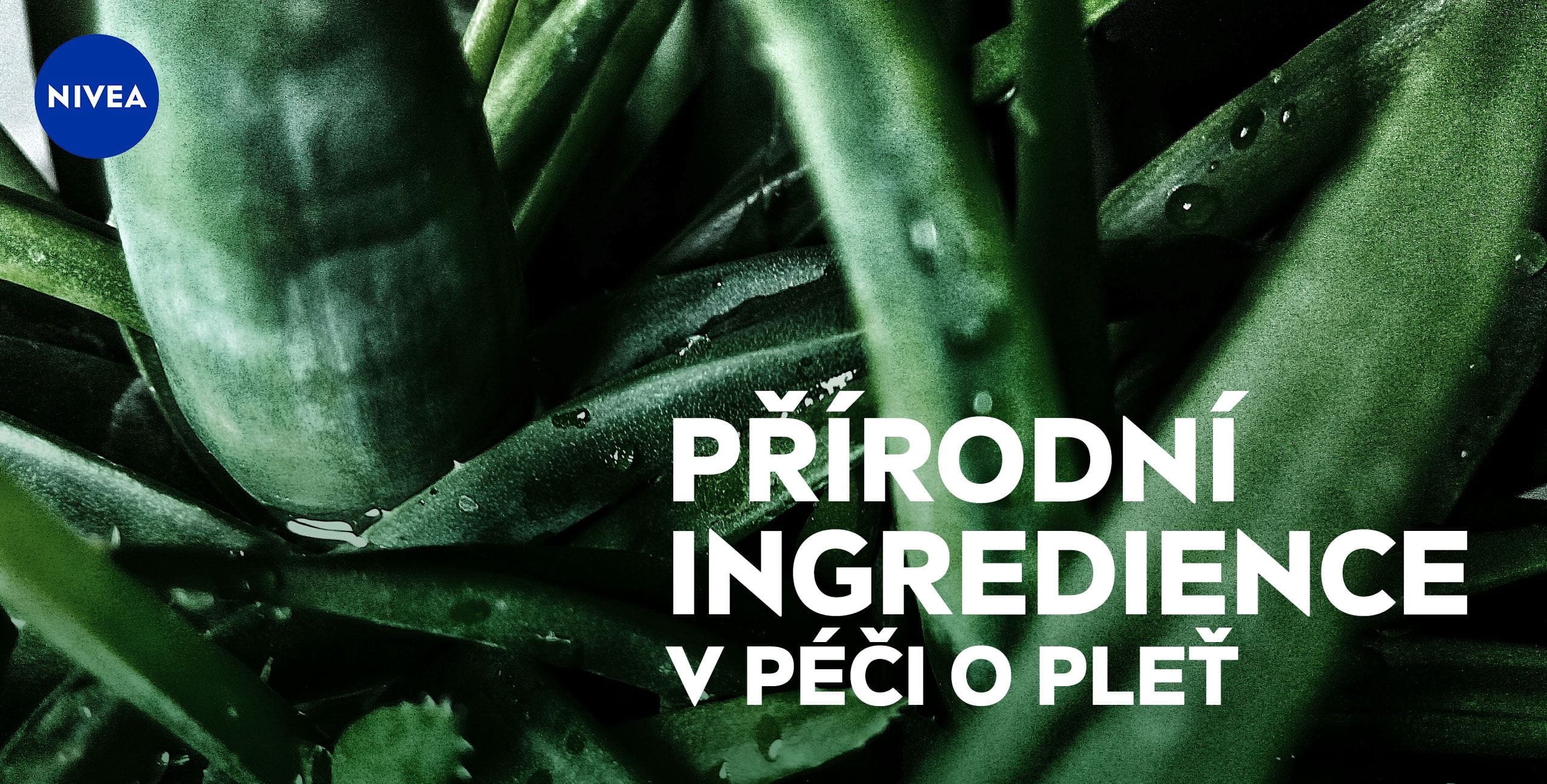 přírodní ingredience