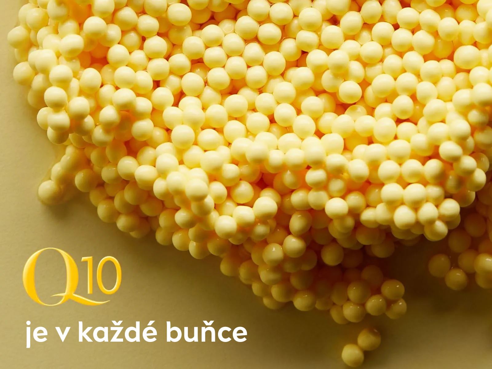 Q10 je v každé buňce