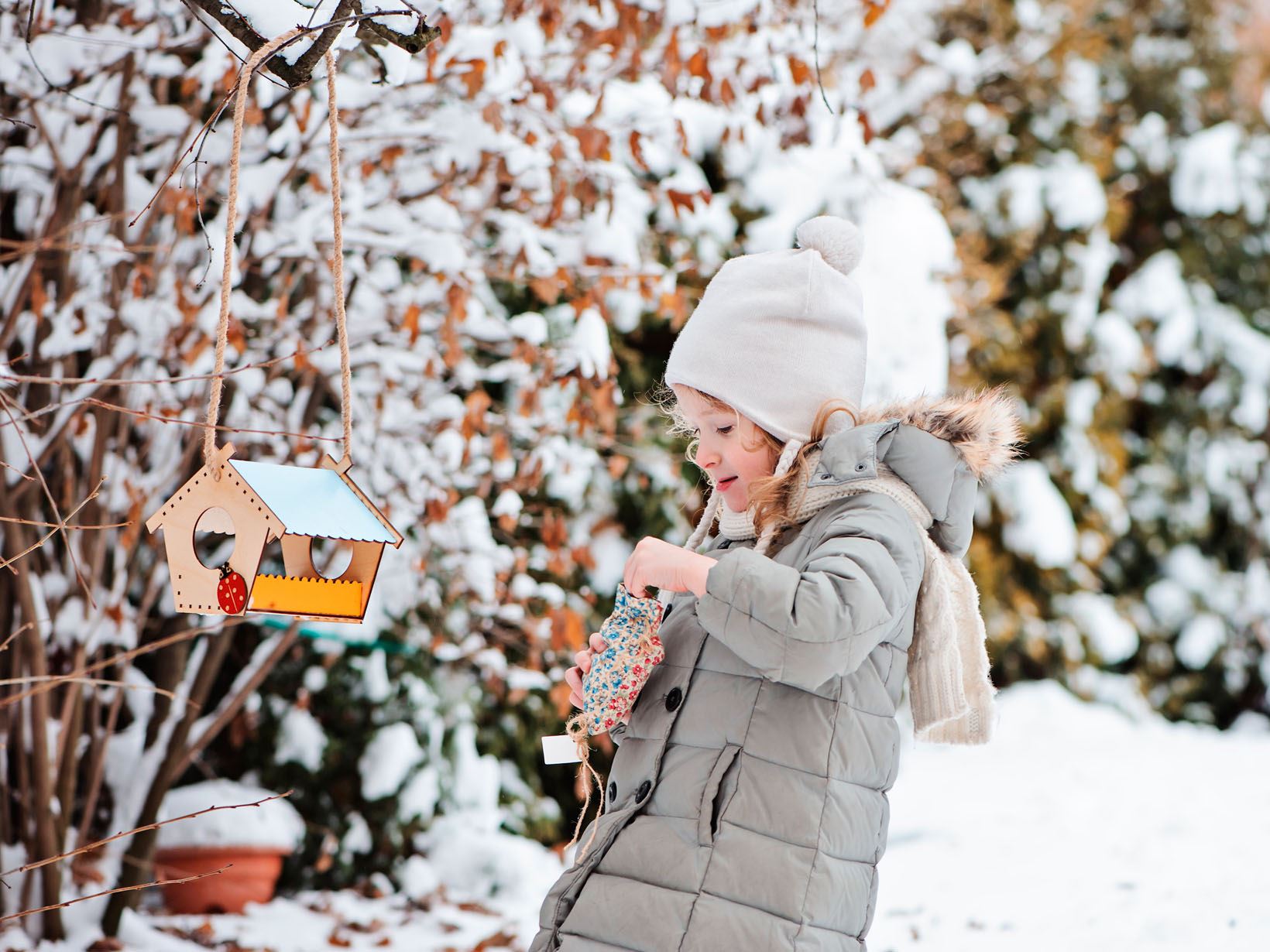 advent-bucket-list-voegel-fuettern