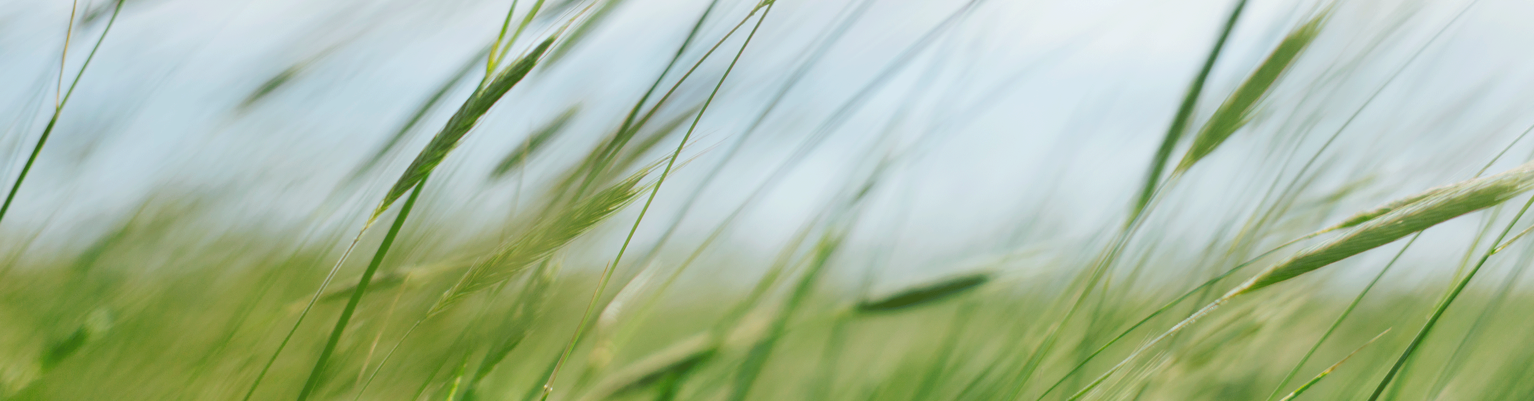 NIVEA-Nachhaltigkeit-Startseite-Header