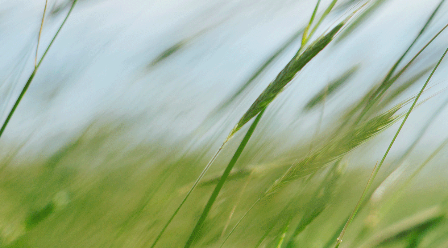 NIVEA-Nachhaltigkeit-Startseite-Header