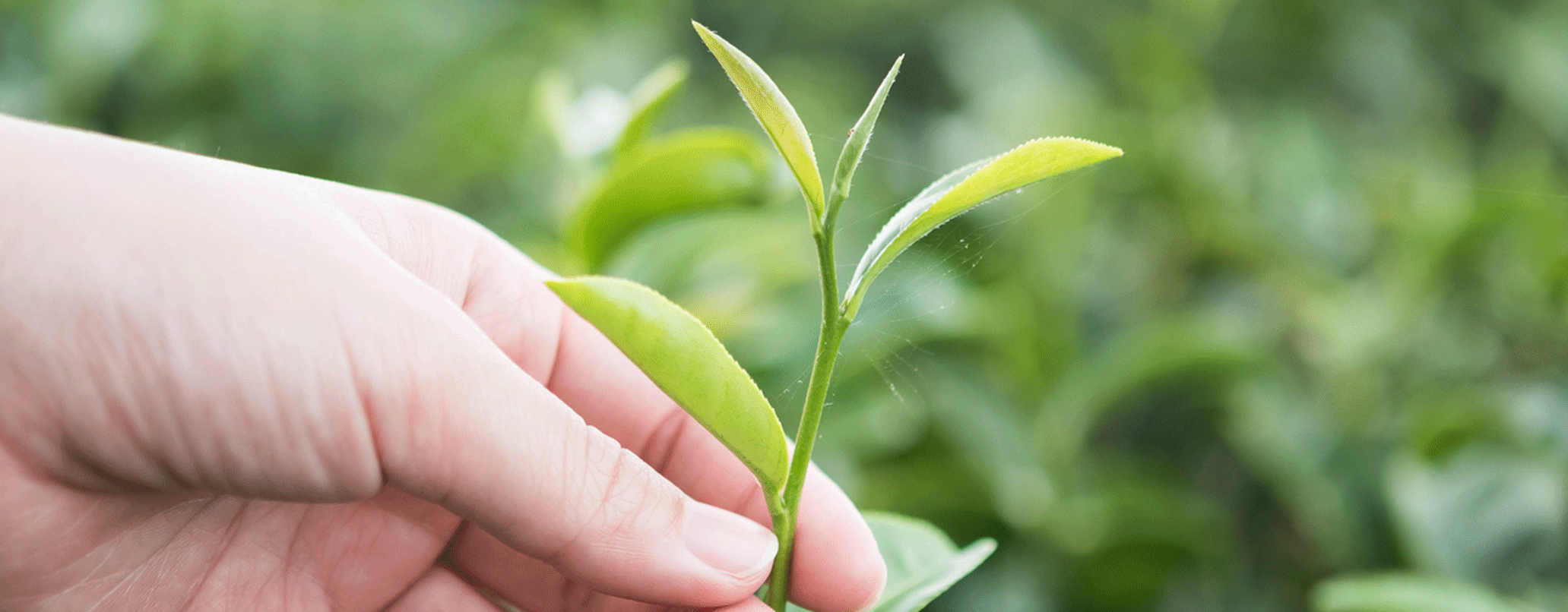 NIVEA-Nachhaltigkeit-Verantwortung-Header