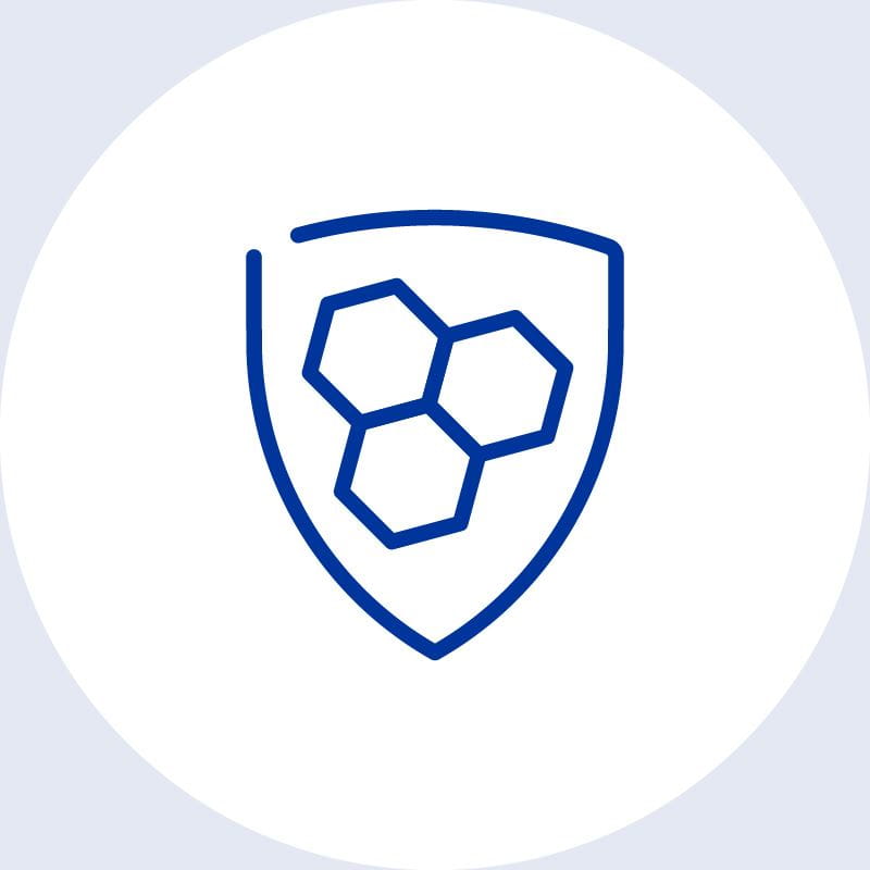 Schutzschild