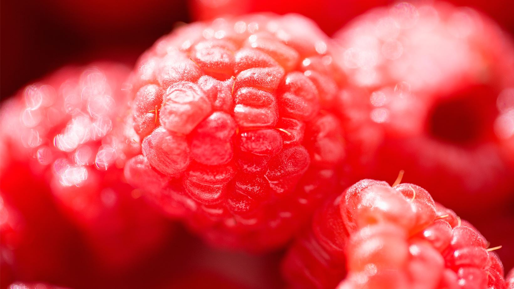 Beauty Booster rote Beeren