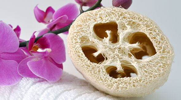 Luffaschwamm: Anwendung und Pflegetipps für die Körperpflege