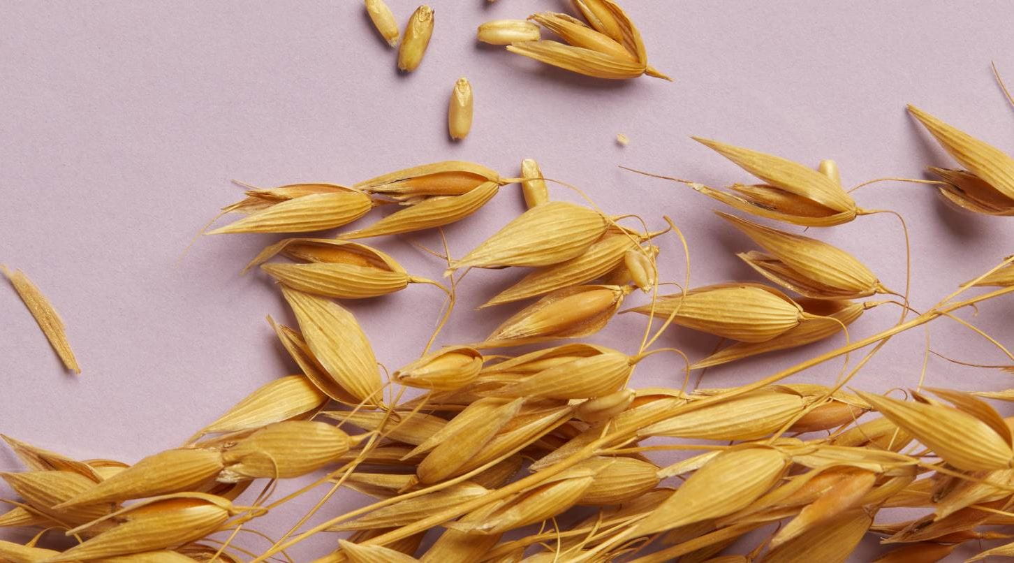 Beneficios de la avena para la salud