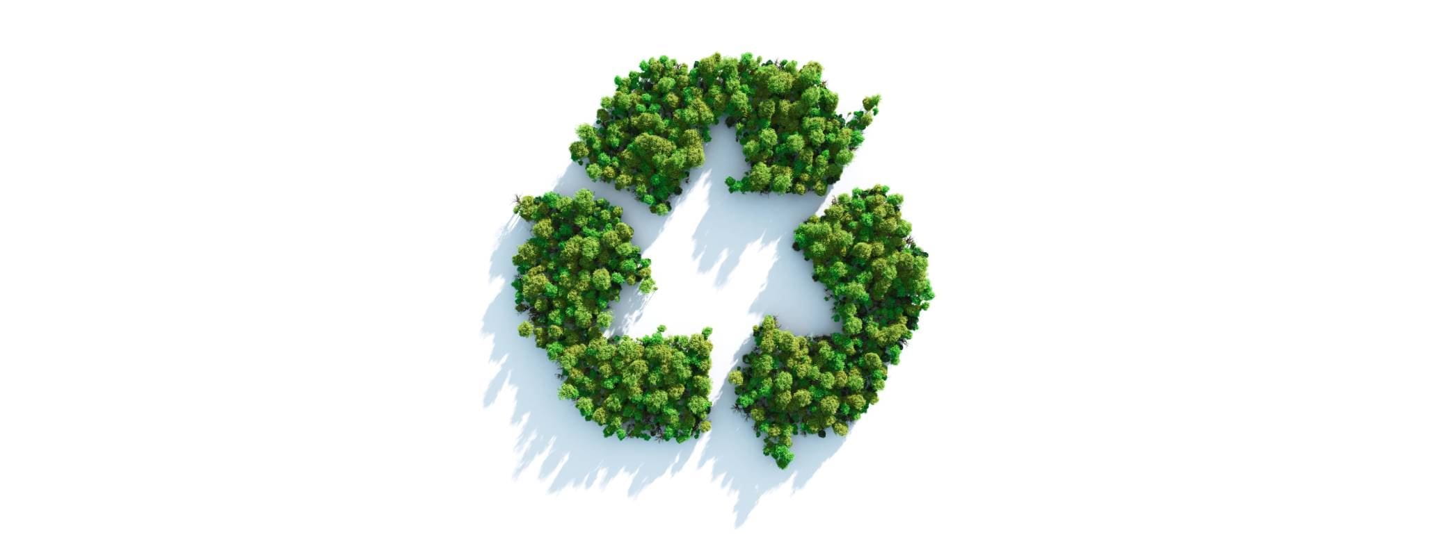 Cómo ahorrar energía: trucos y consejos