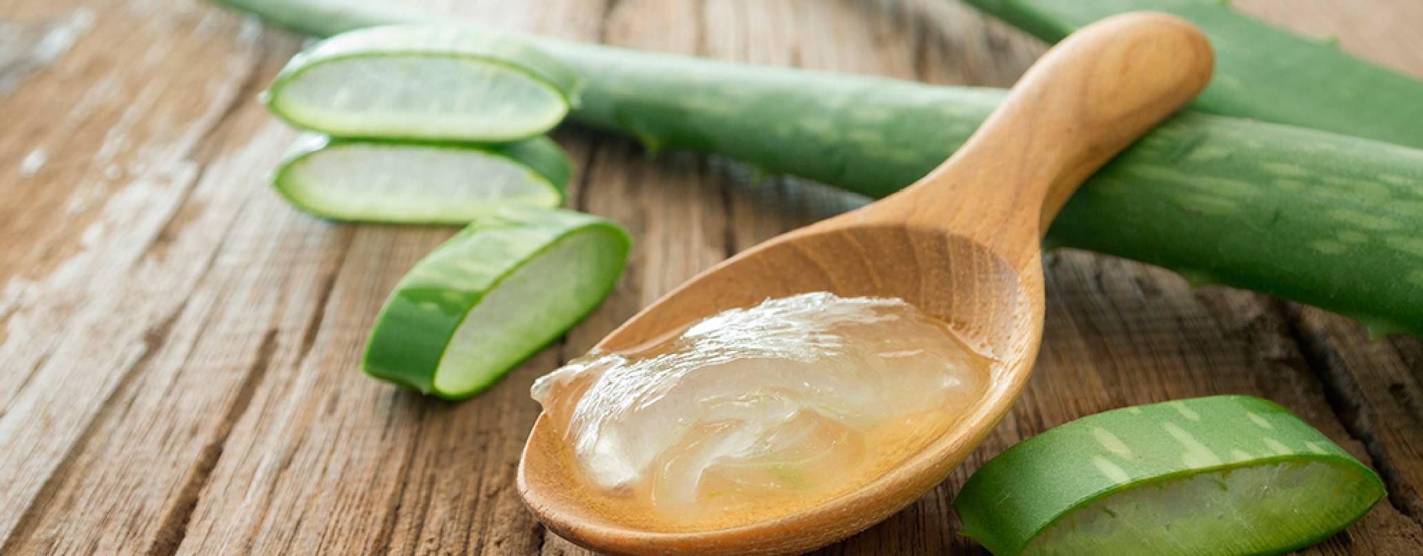 Plantas buenas para cuidar la piel