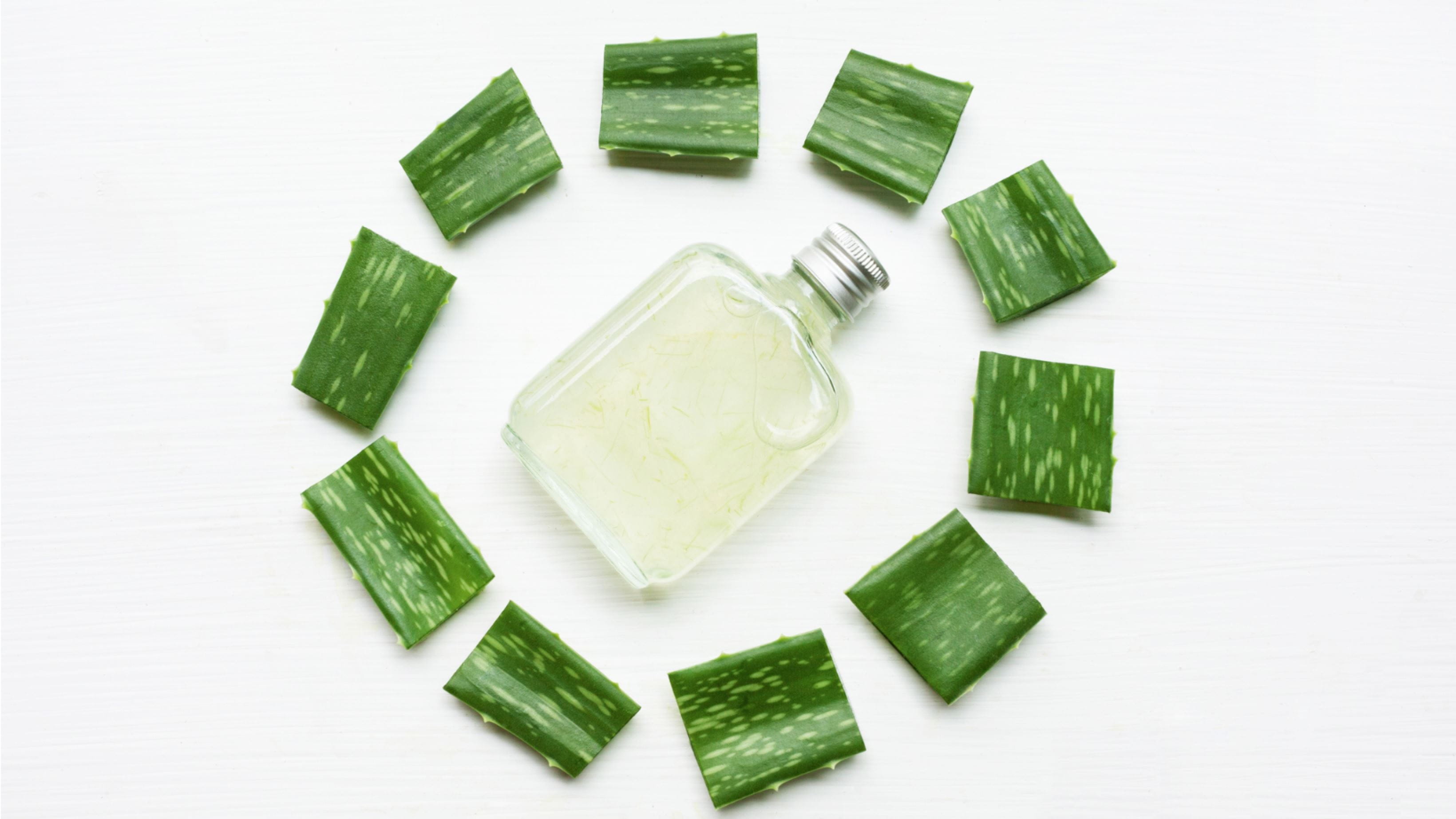 Des études portant sur les bienfaits de l’Aloe vera sur la peau