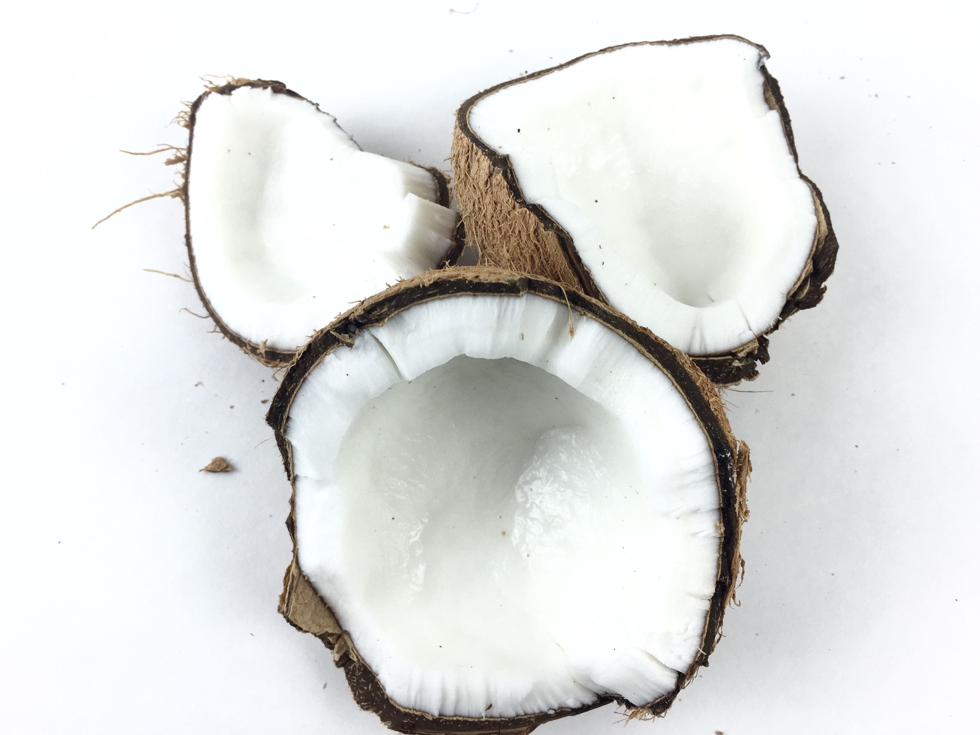 coconut oil