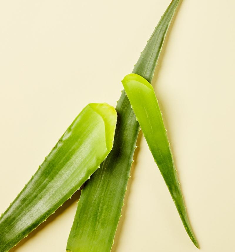 aloe vera ainesosa