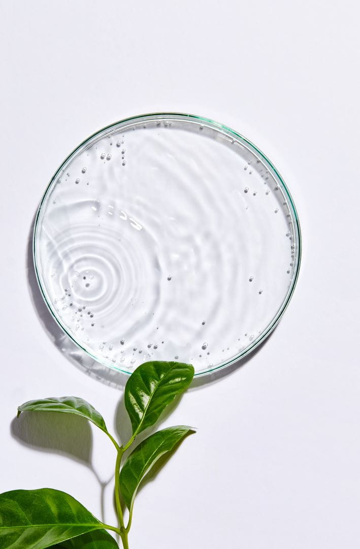 té verde