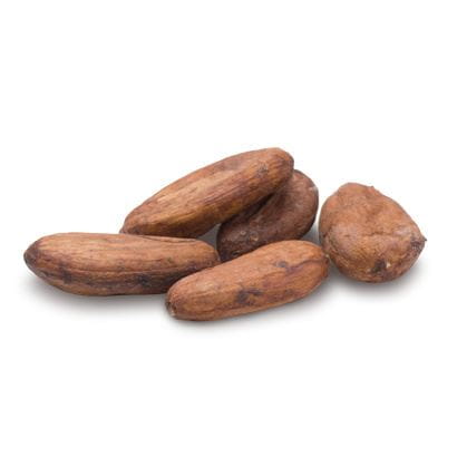 cocoa butter beans
