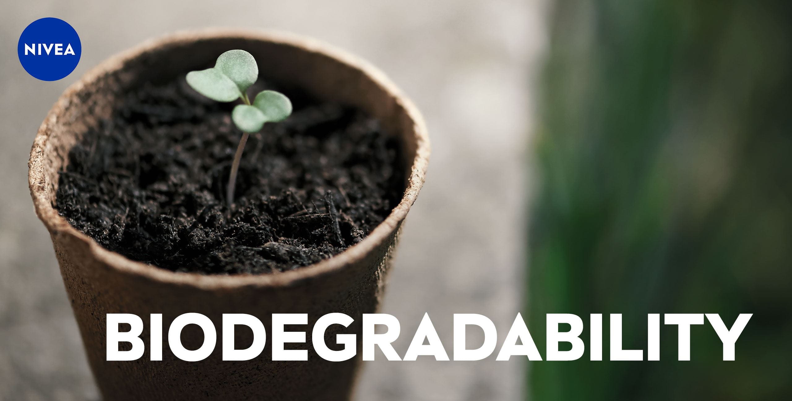 biodegradable