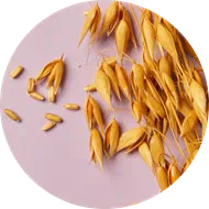 oat