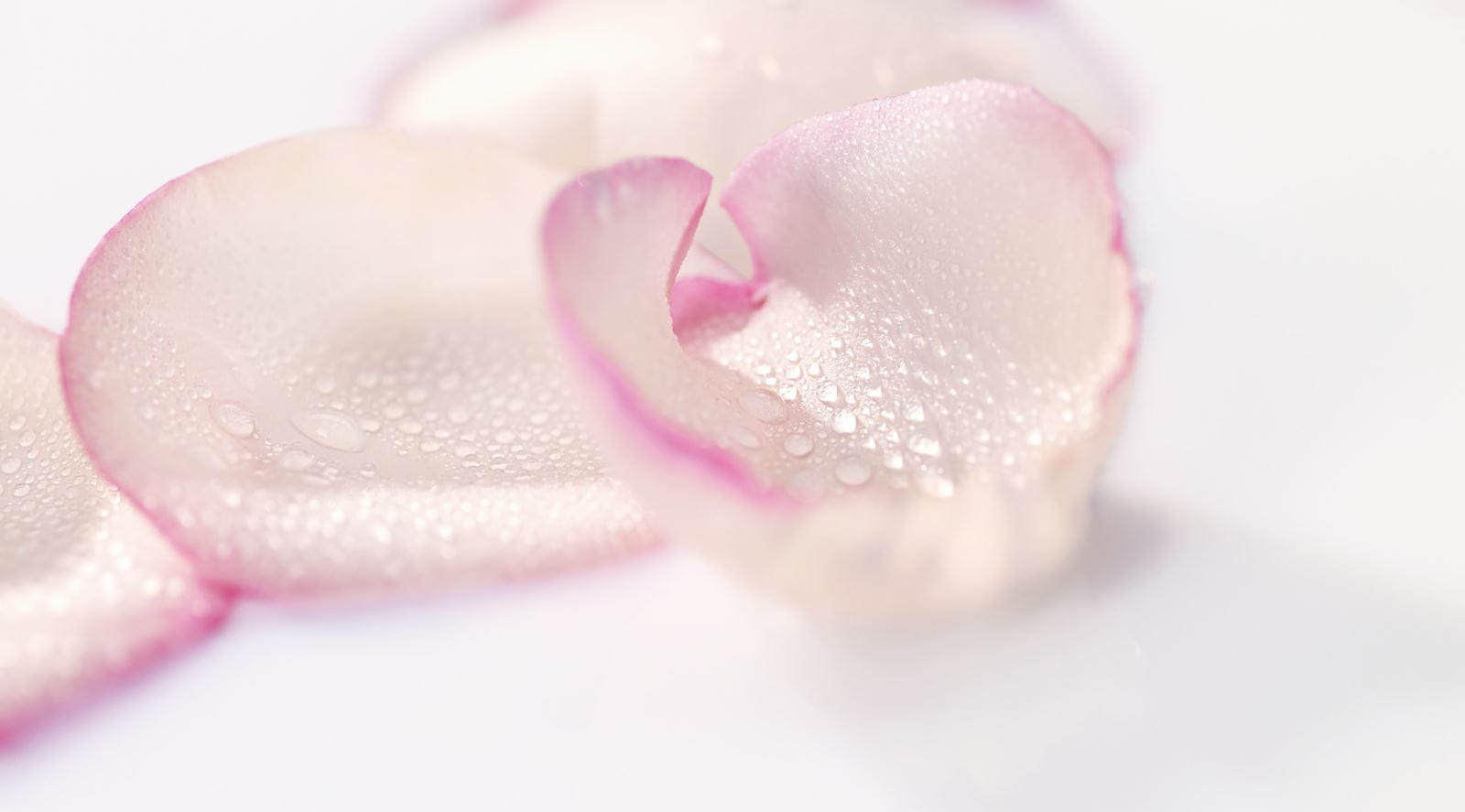 A rózsavíz hatásai az arcbőrre