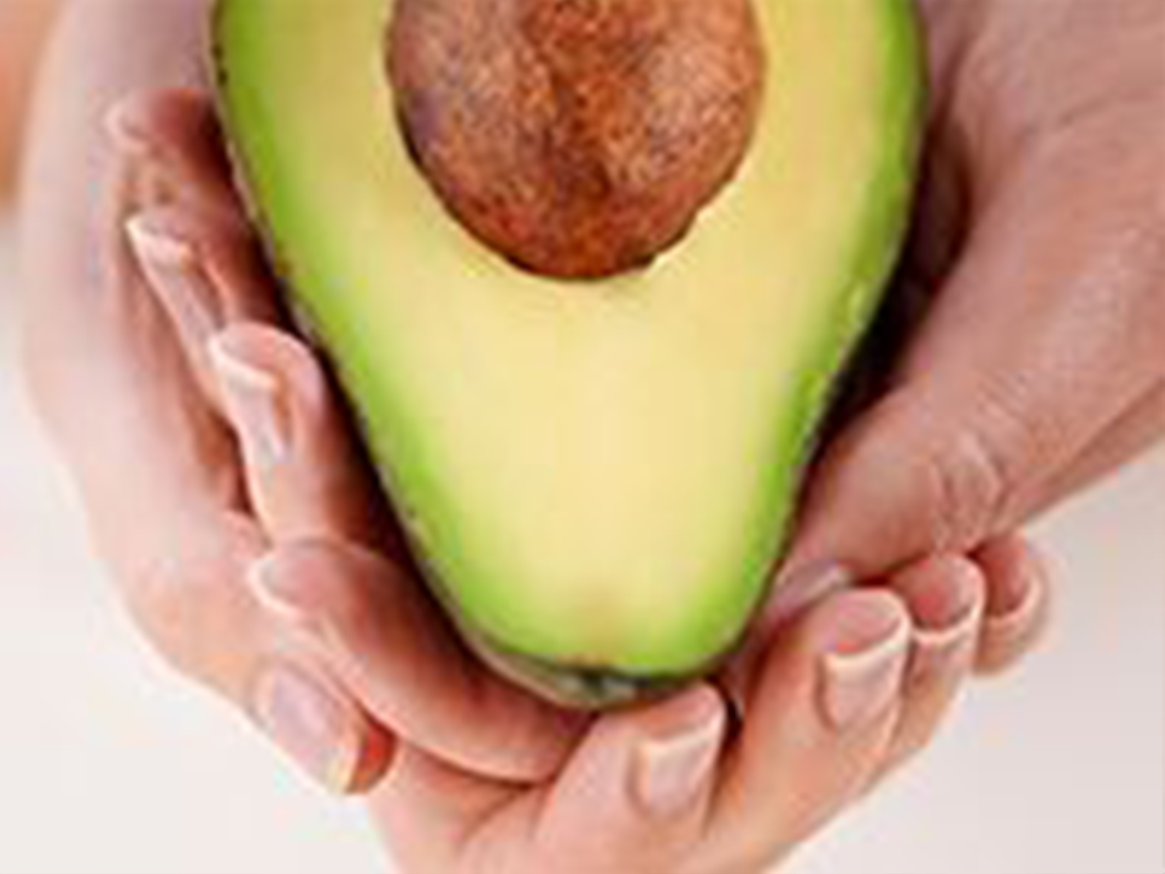 hand holding avocado