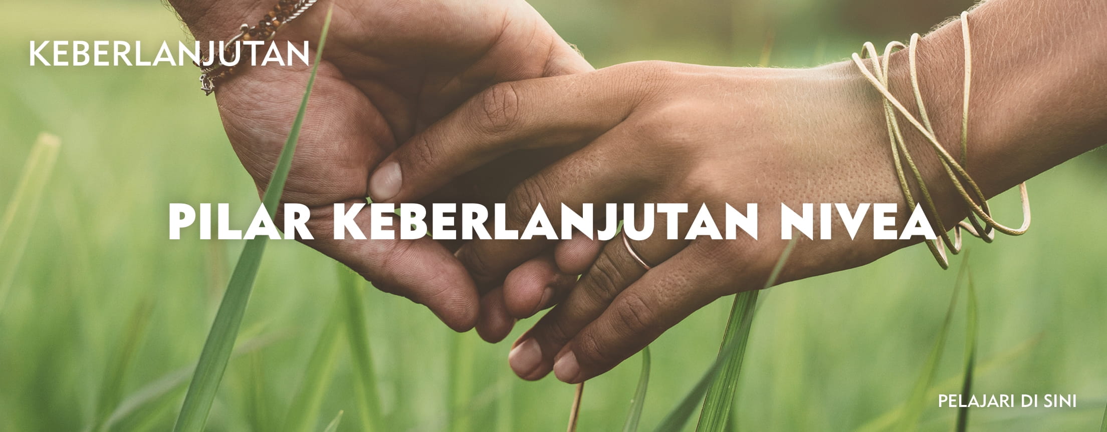 hand holding outdoor