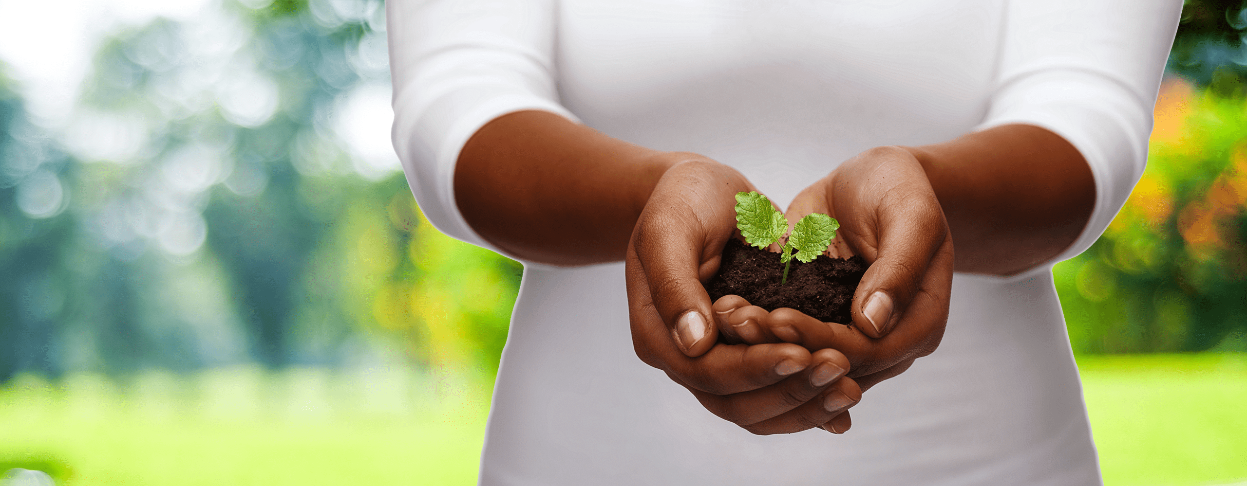 sustainability