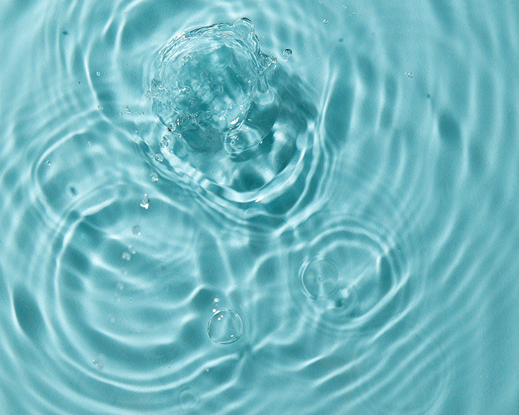 الاستدامة لدى نيڤيا