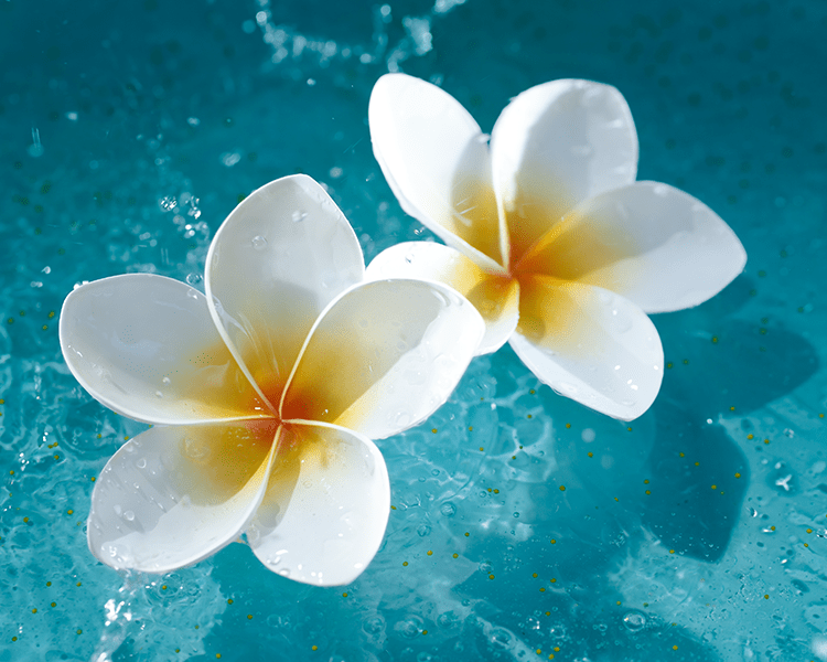 creme-care-facial-cleansing