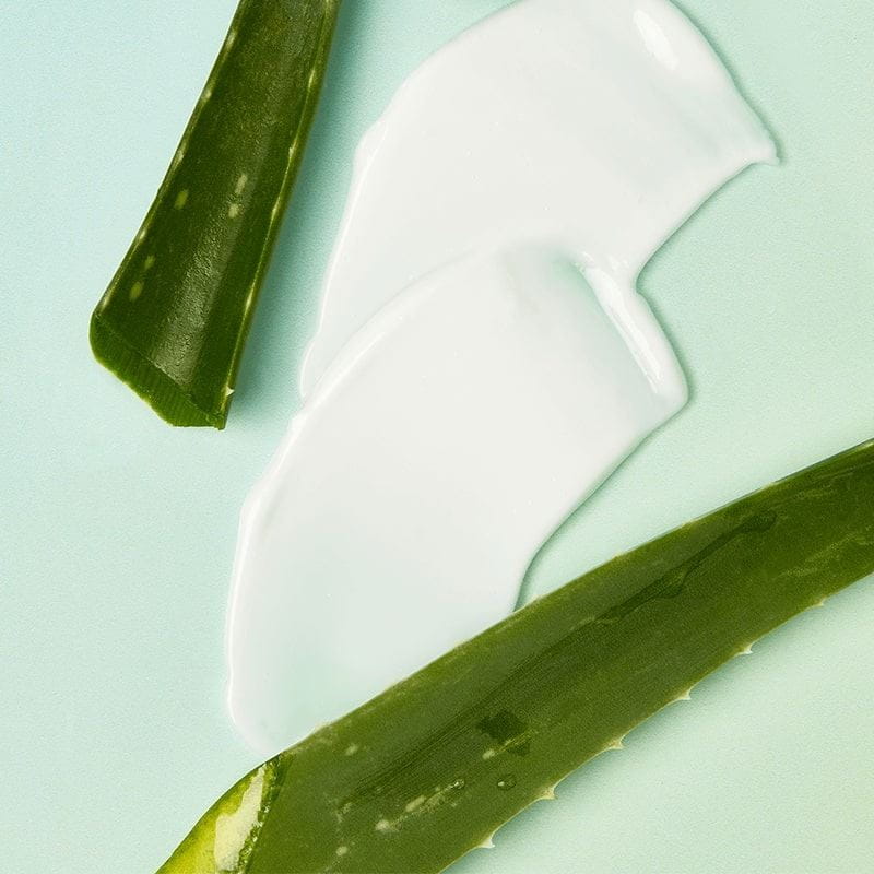 beneficios del aloe vera