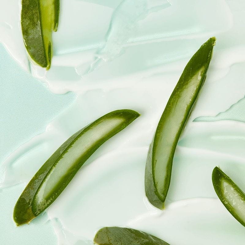 beneficios del aloe vera