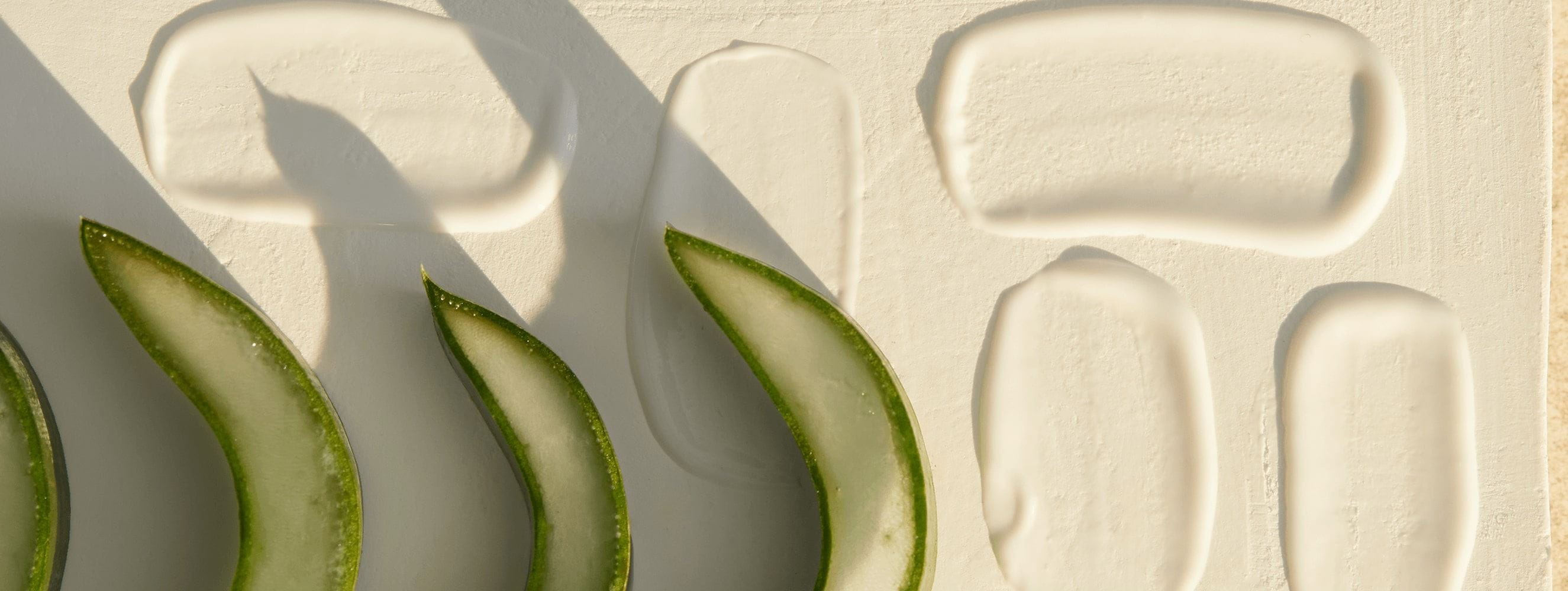 usos y beneficios del aloe vera