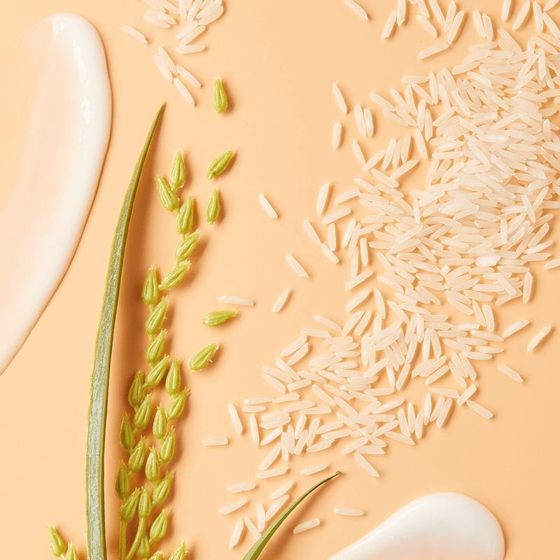 productos de belleza veganos