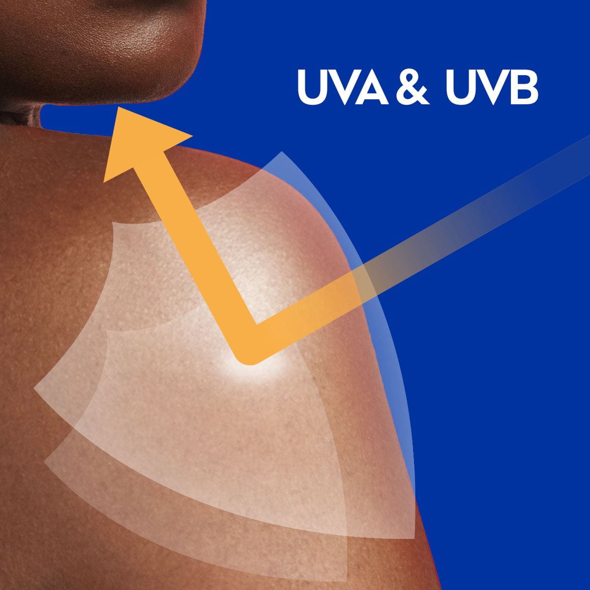 UVA & UVB