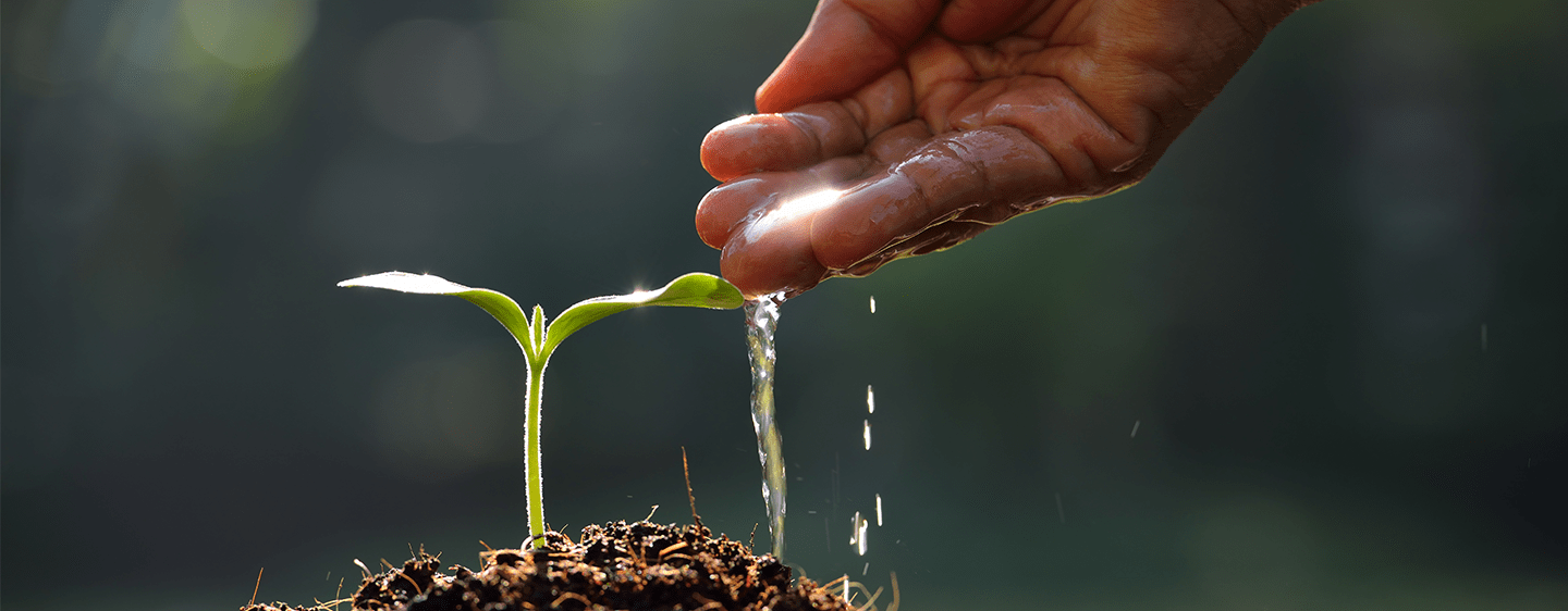 How Nivea Touches The Planet