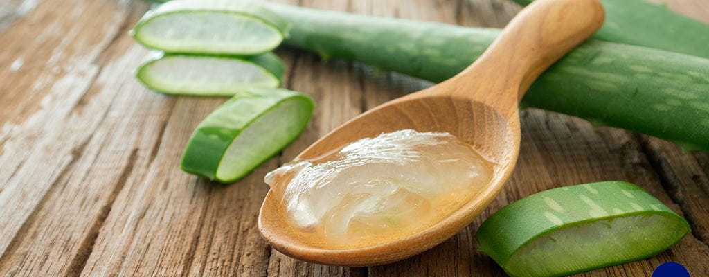 Aloe vera op een houten lepel
