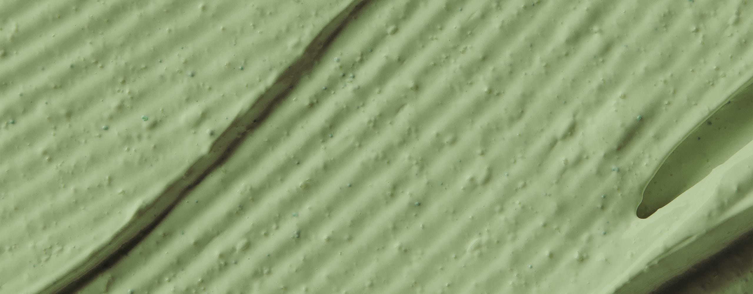 Algi w kosmetyce – jakie znajdują zastosowanie?