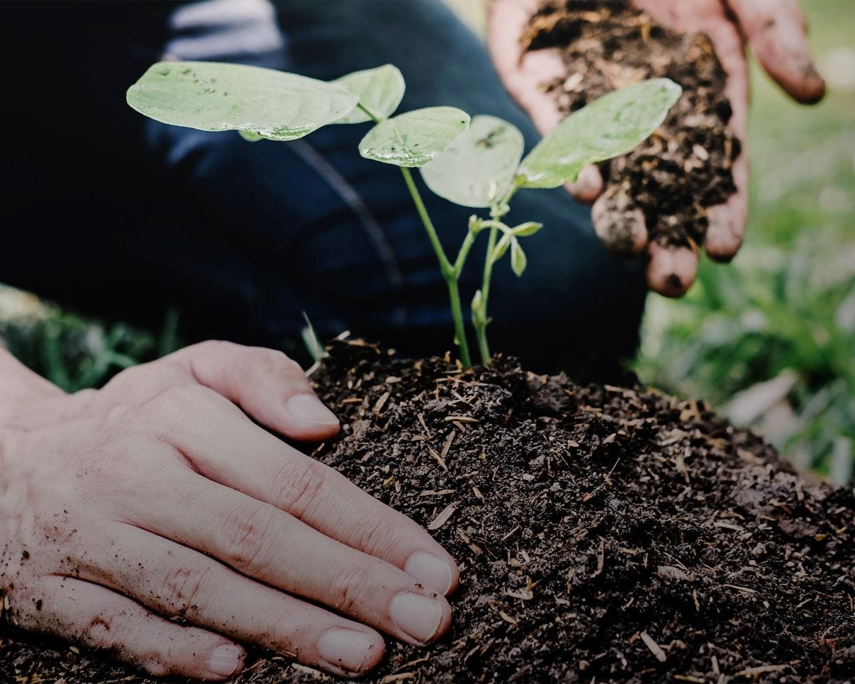 Zrównoważony rozwój