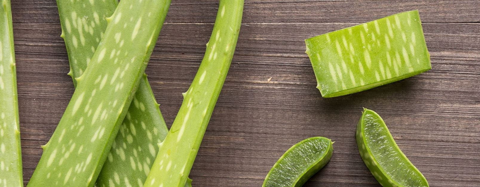 aloe vera