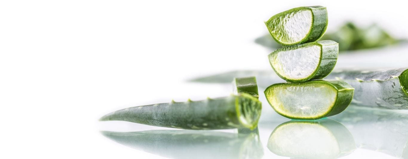 aloe vera