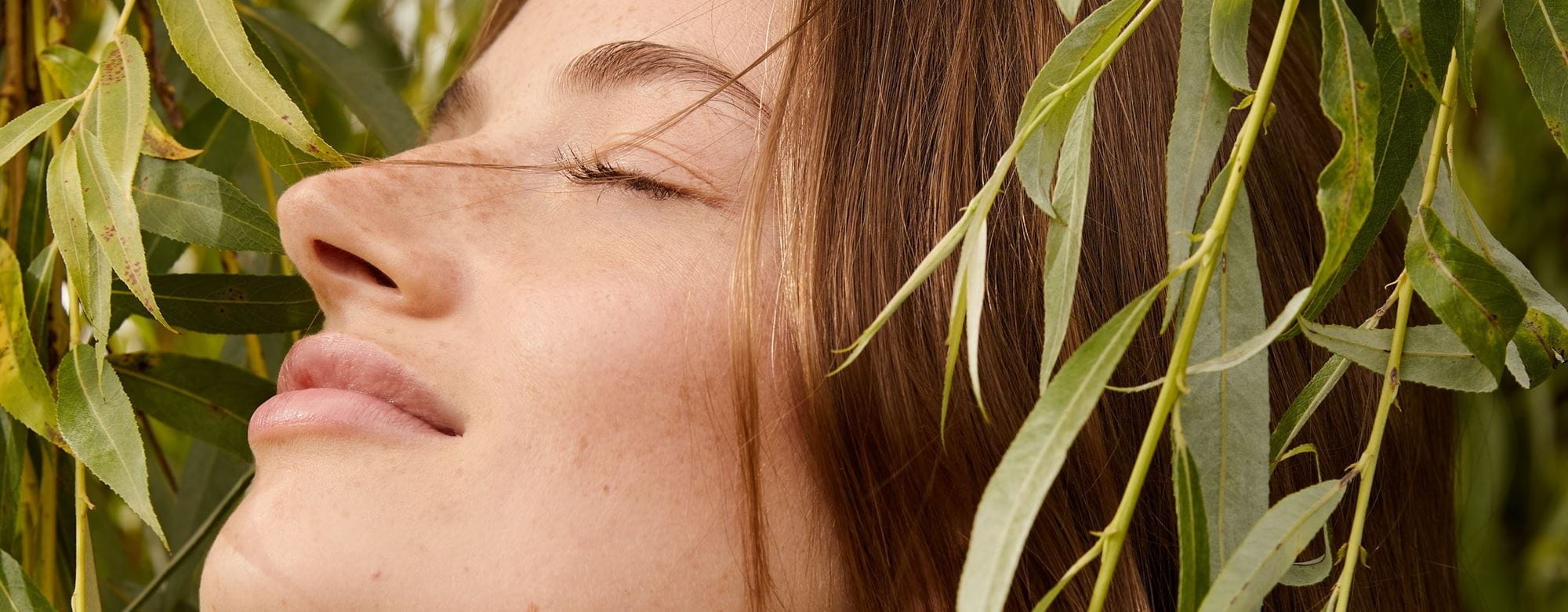 escolha do perfume ideal