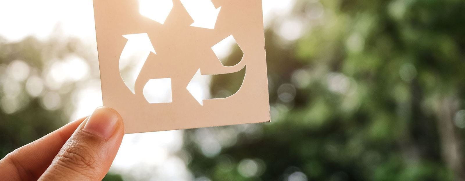 Dedos de pessoa a segurar pedaço de cartão com símbolo de reciclagem.