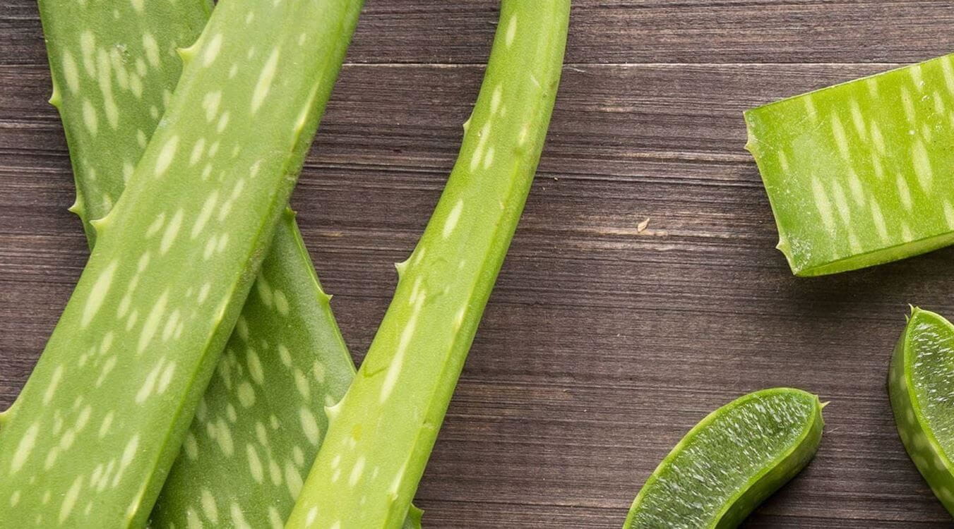 gelul aloe vera beneficii