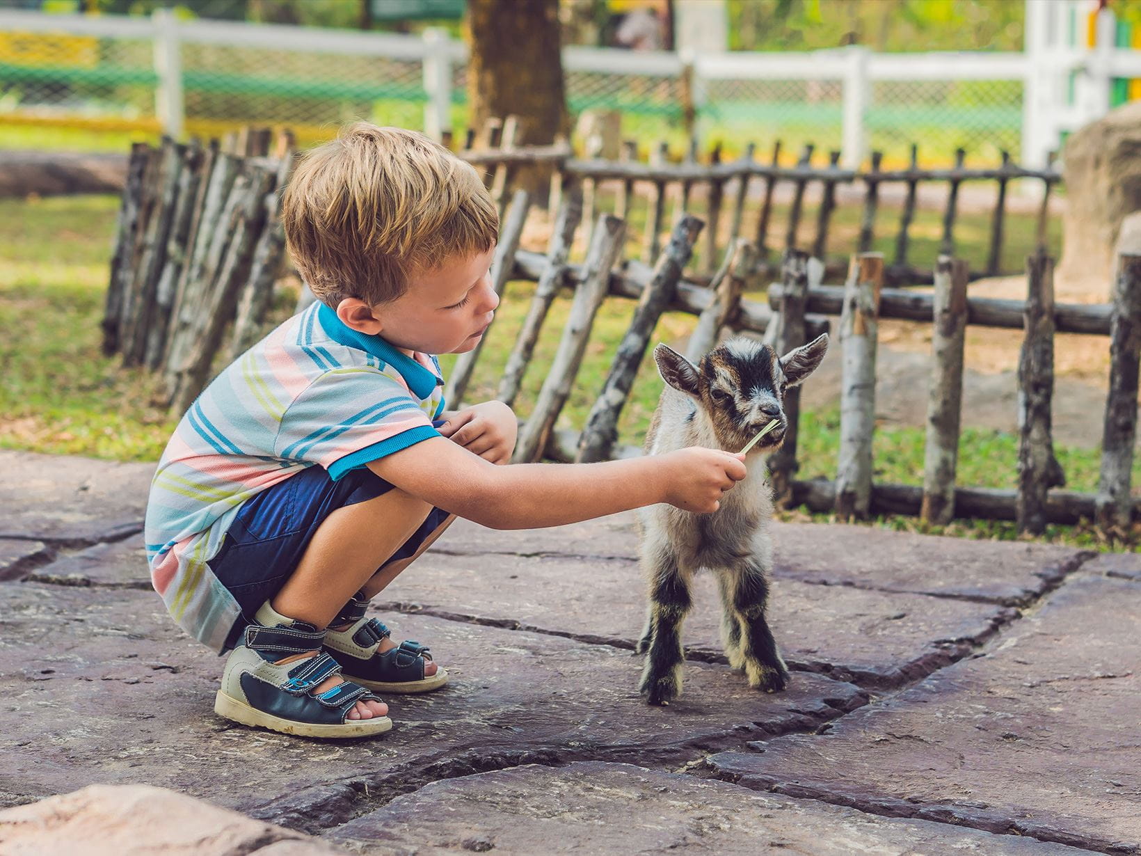 Výlety do zoo