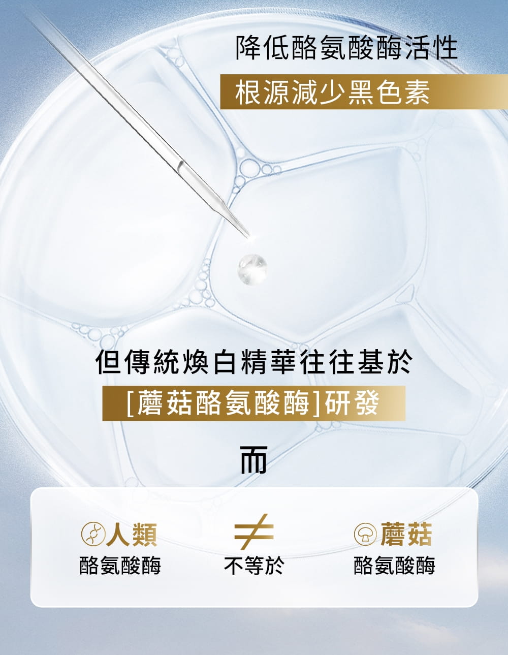 降低酪氨酸酶活性，從根源減少黑色素