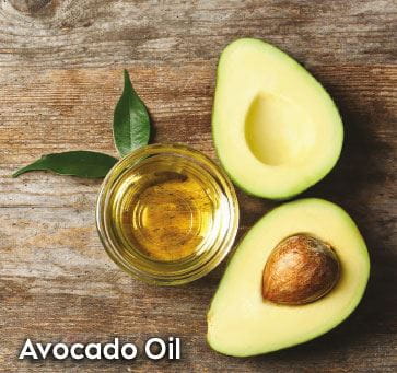 Avocado